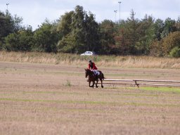 IMG_8491_web